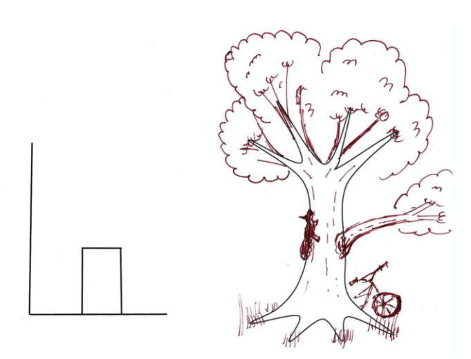 Tree with squirrel and bike